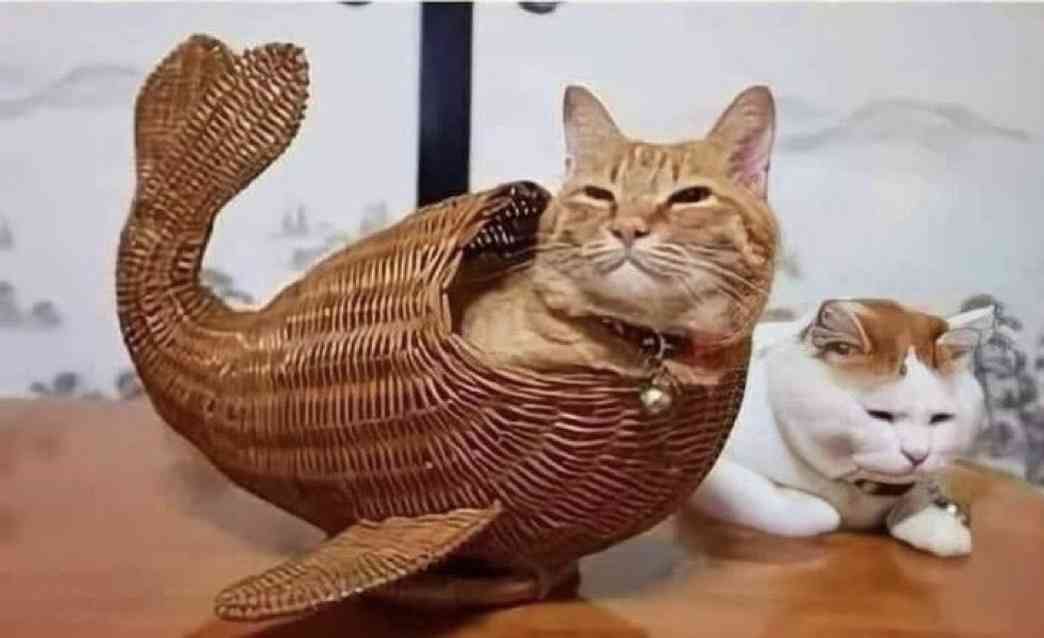 よく分からないけどかっこいい画像を貼るトピ