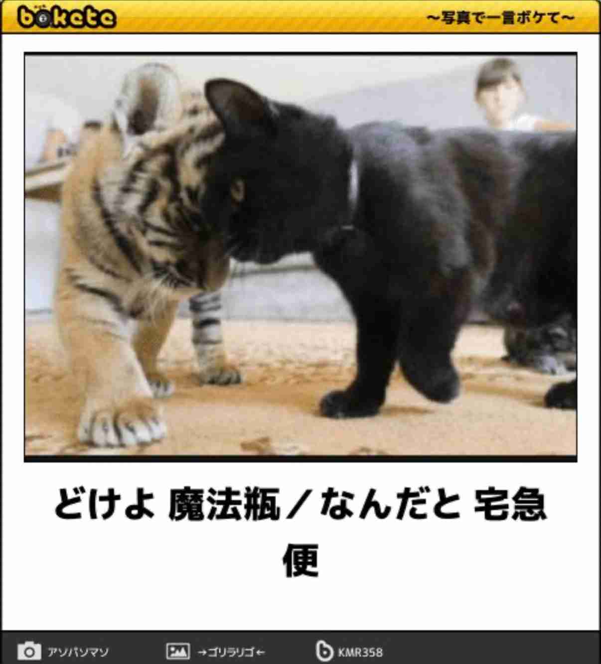 よく分からないけどかっこいい画像を貼るトピ