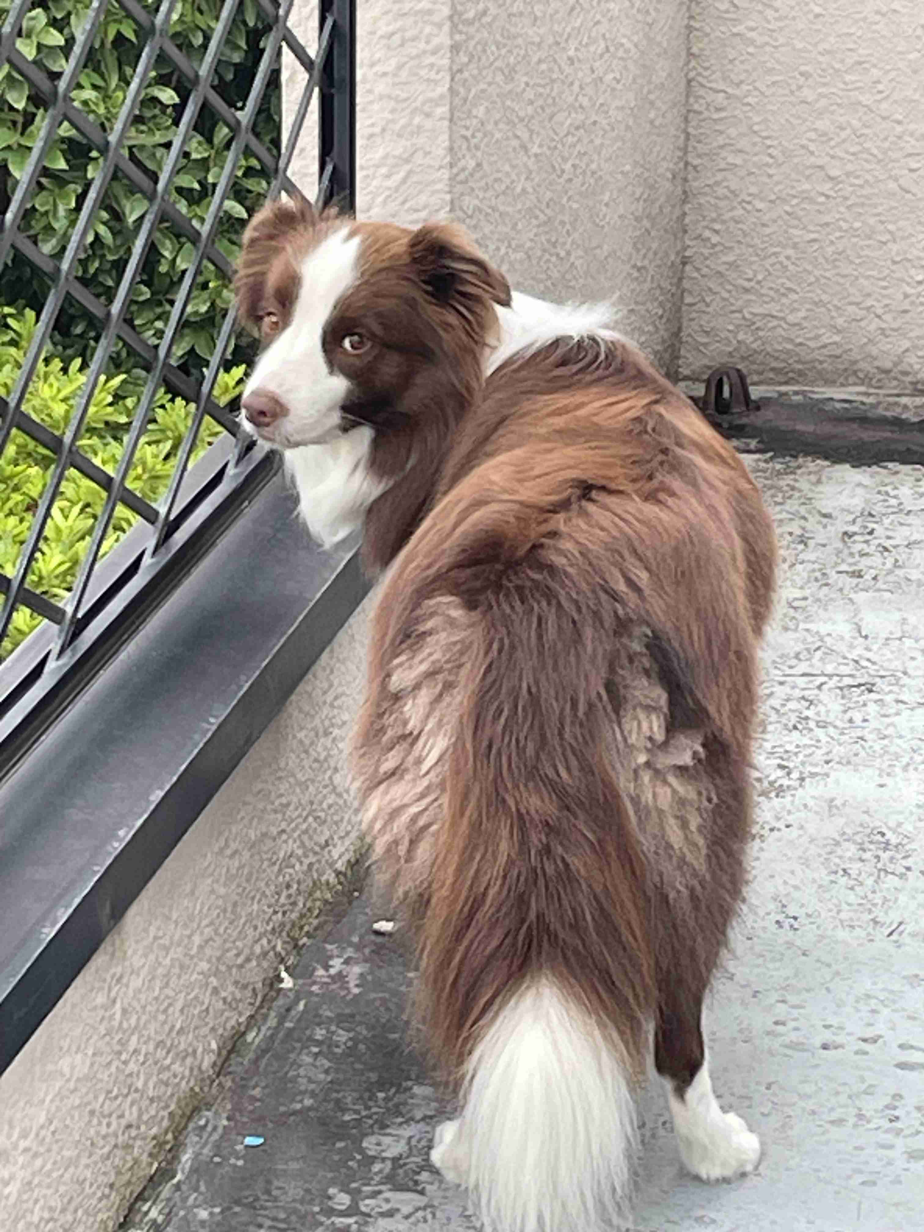 よく分からないけどかっこいい画像を貼るトピ