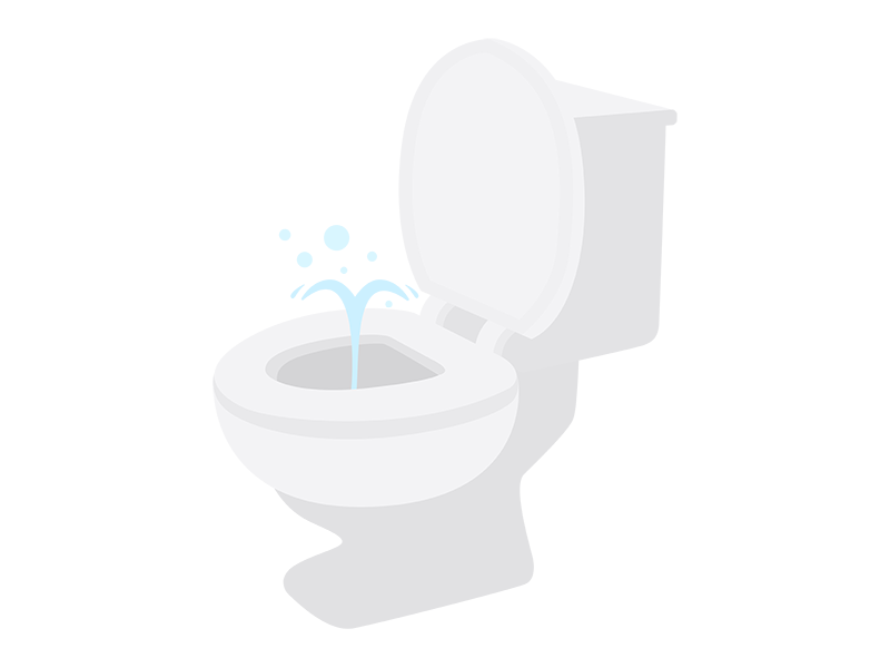 日本の文化で海外に大人気なもの