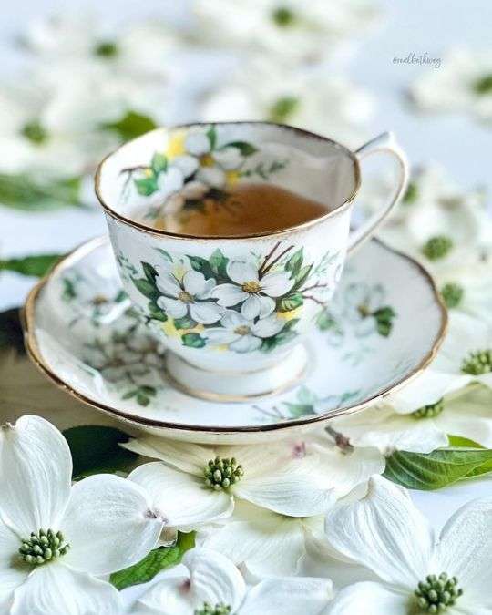 素敵なソーサー&カップのセットが見たい☕