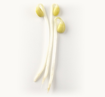 幸せな老後に必要なものは?