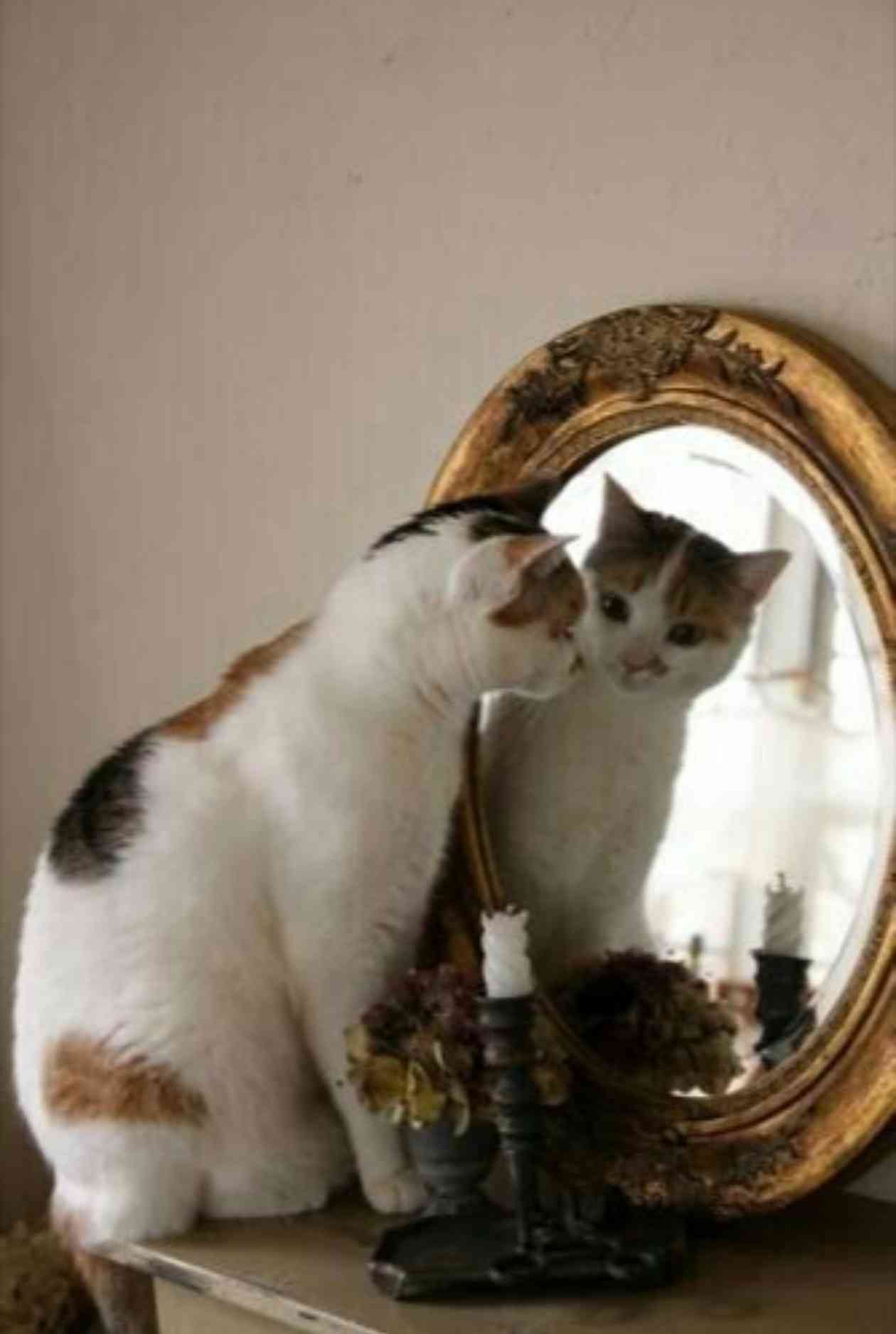 頻繁に鏡を見てしまう