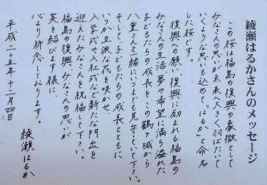 綾瀬はるかが好きな人
