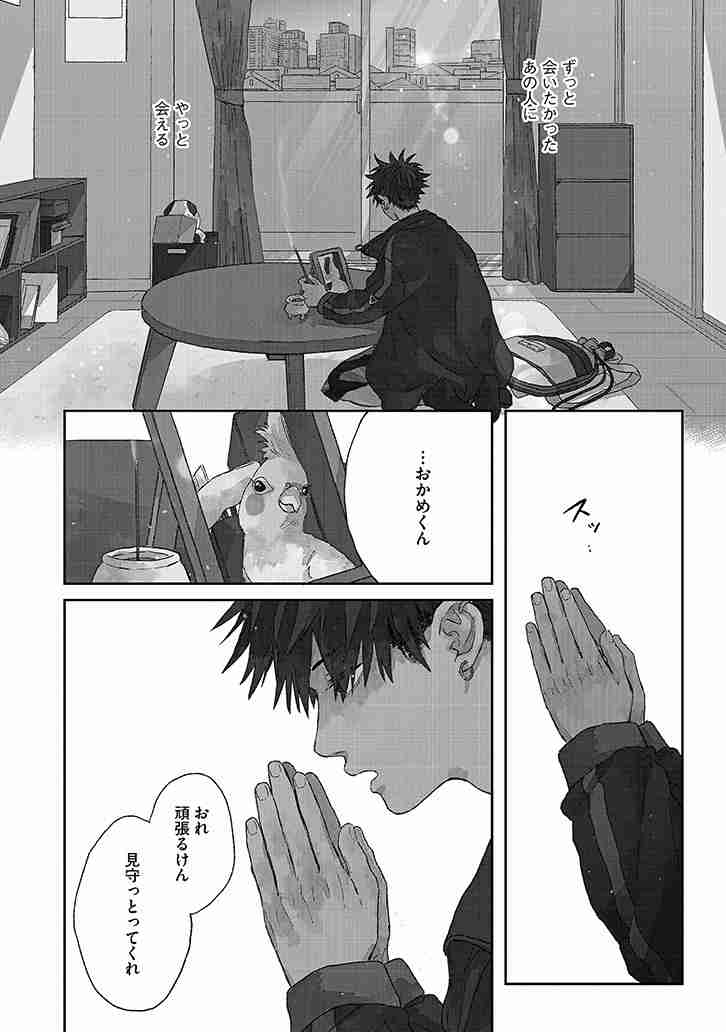 【世界最小のオウム】オカメインコ好きな人、飼ってる人Part4【オレンジチーク】