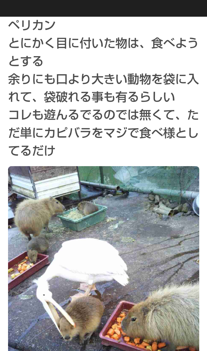 元気が出たガルちゃんのコメントpart6