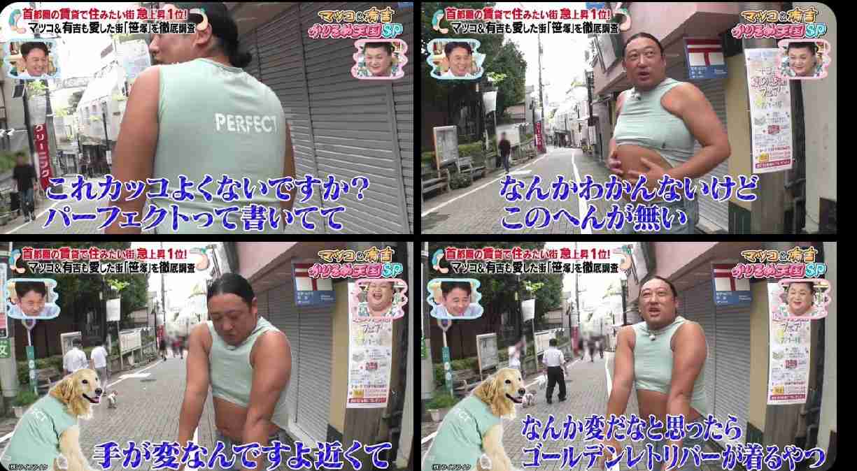 ストレスになる服