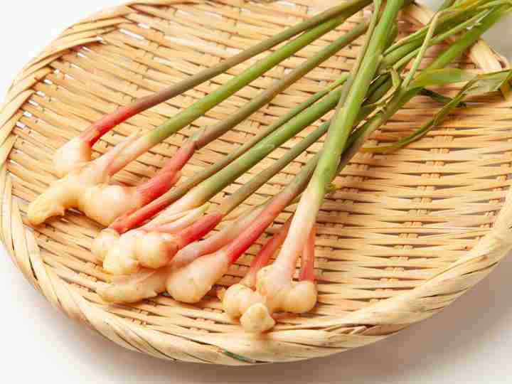 大根おろしに合う料理