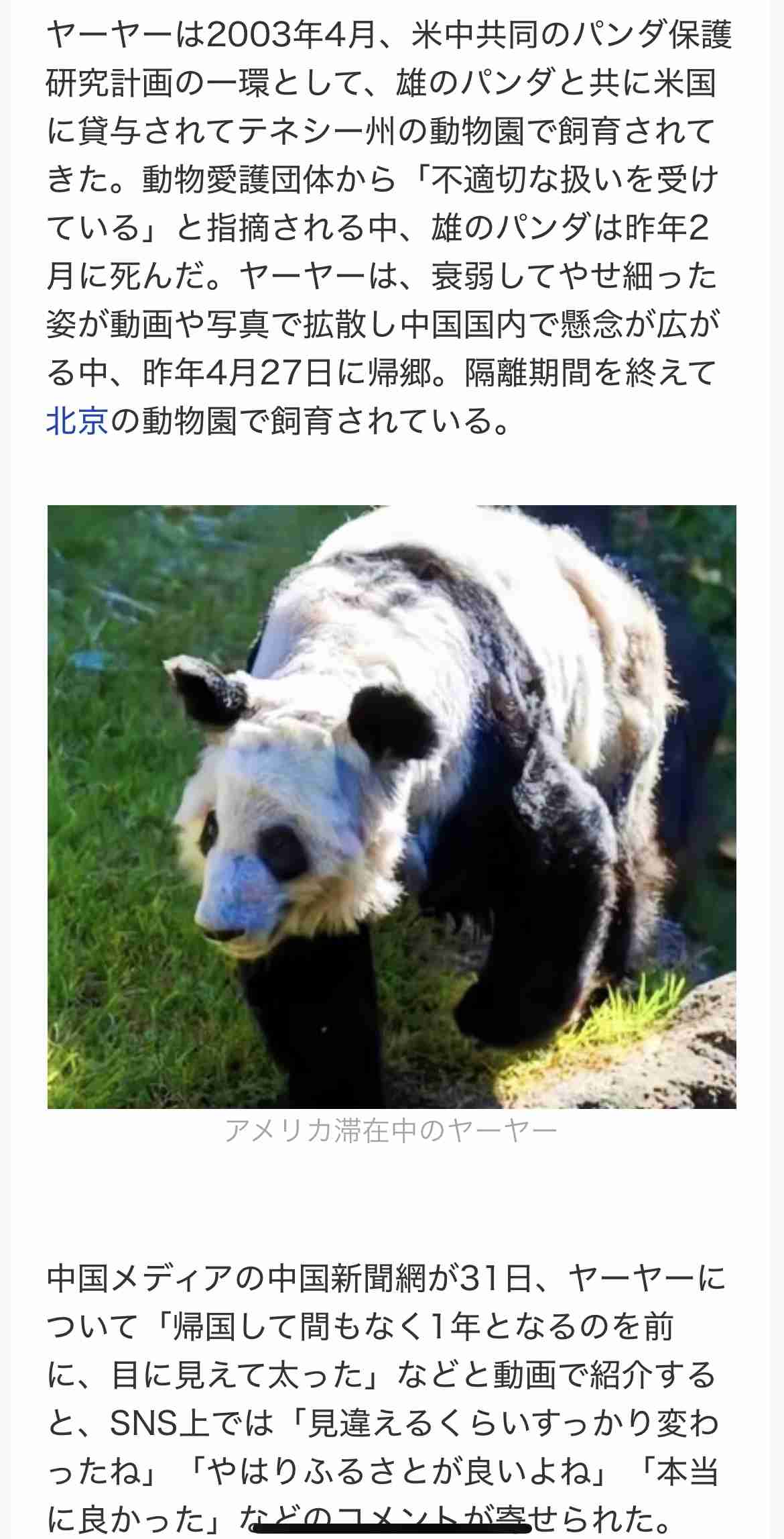 へずまりゅう氏が私見「まさか日本側がパンダ返還で悲しんでいるとでも思っているのか?」