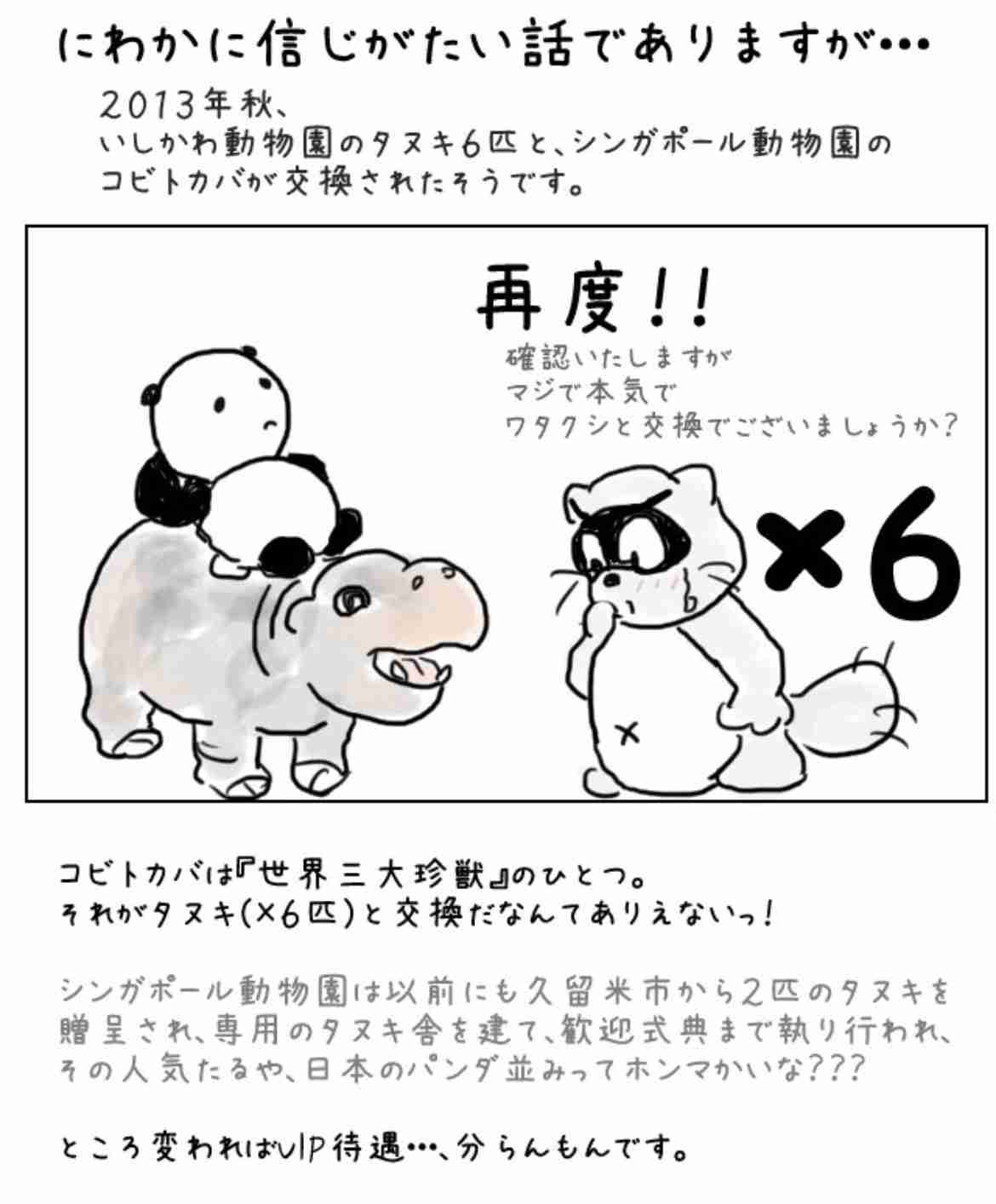 へずまりゅう氏が私見「まさか日本側がパンダ返還で悲しんでいるとでも思っているのか?」