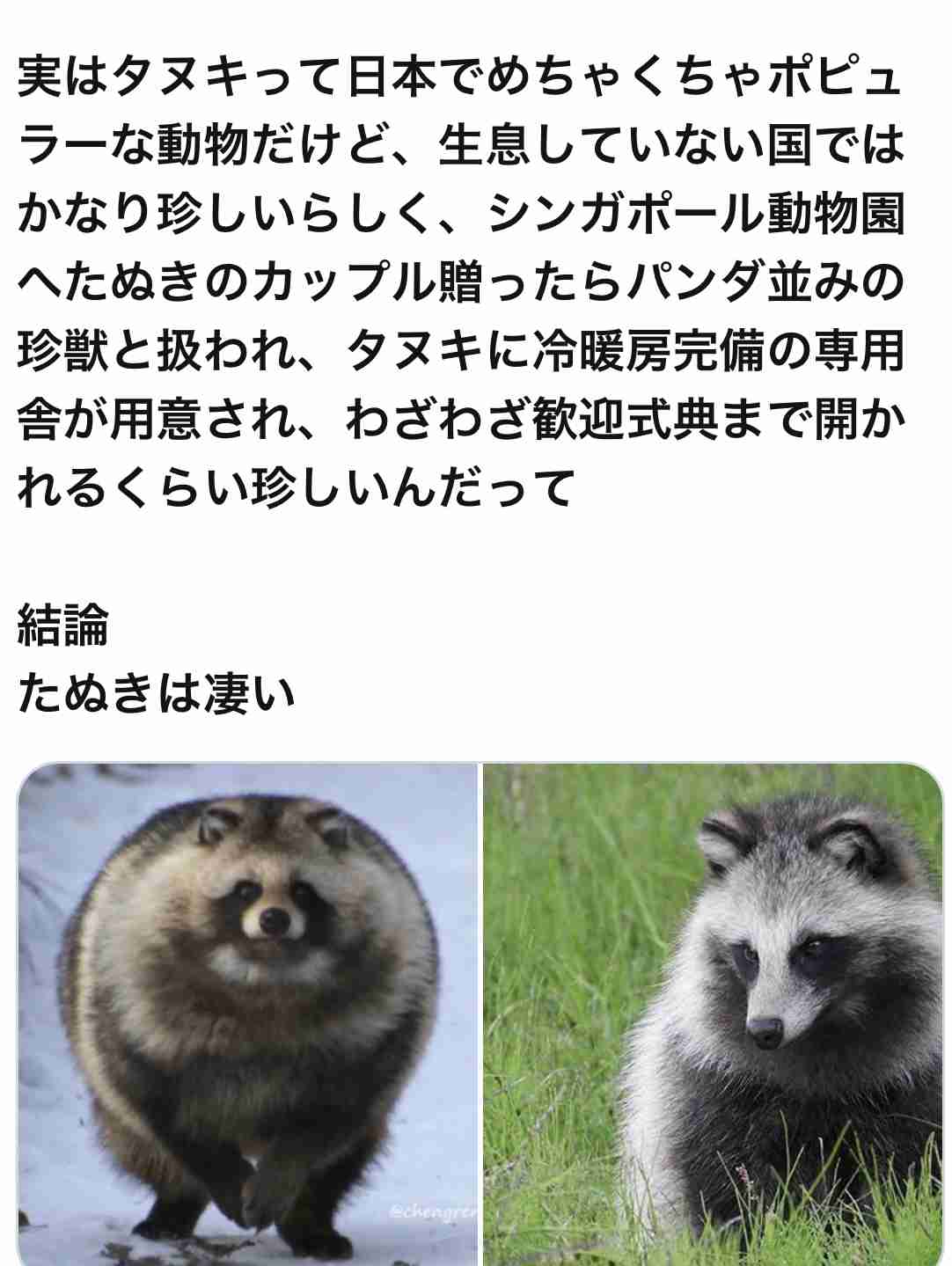 へずまりゅう氏が私見「まさか日本側がパンダ返還で悲しんでいるとでも思っているのか?」