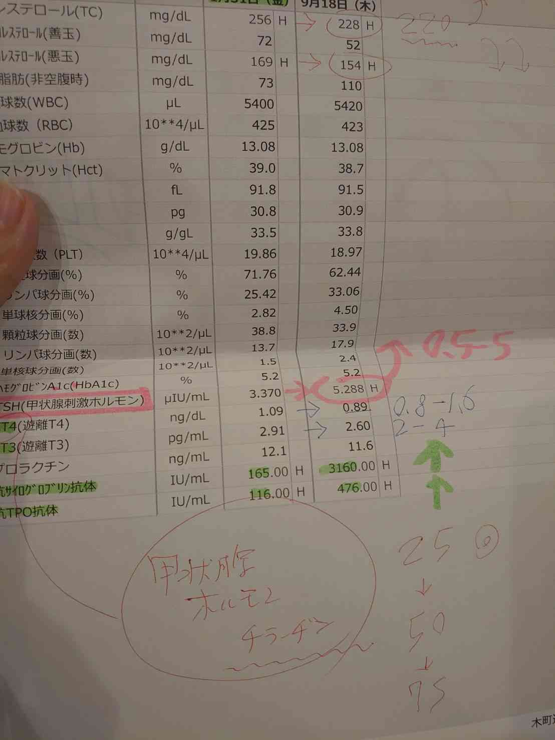 更年期の橋本病辛い😭