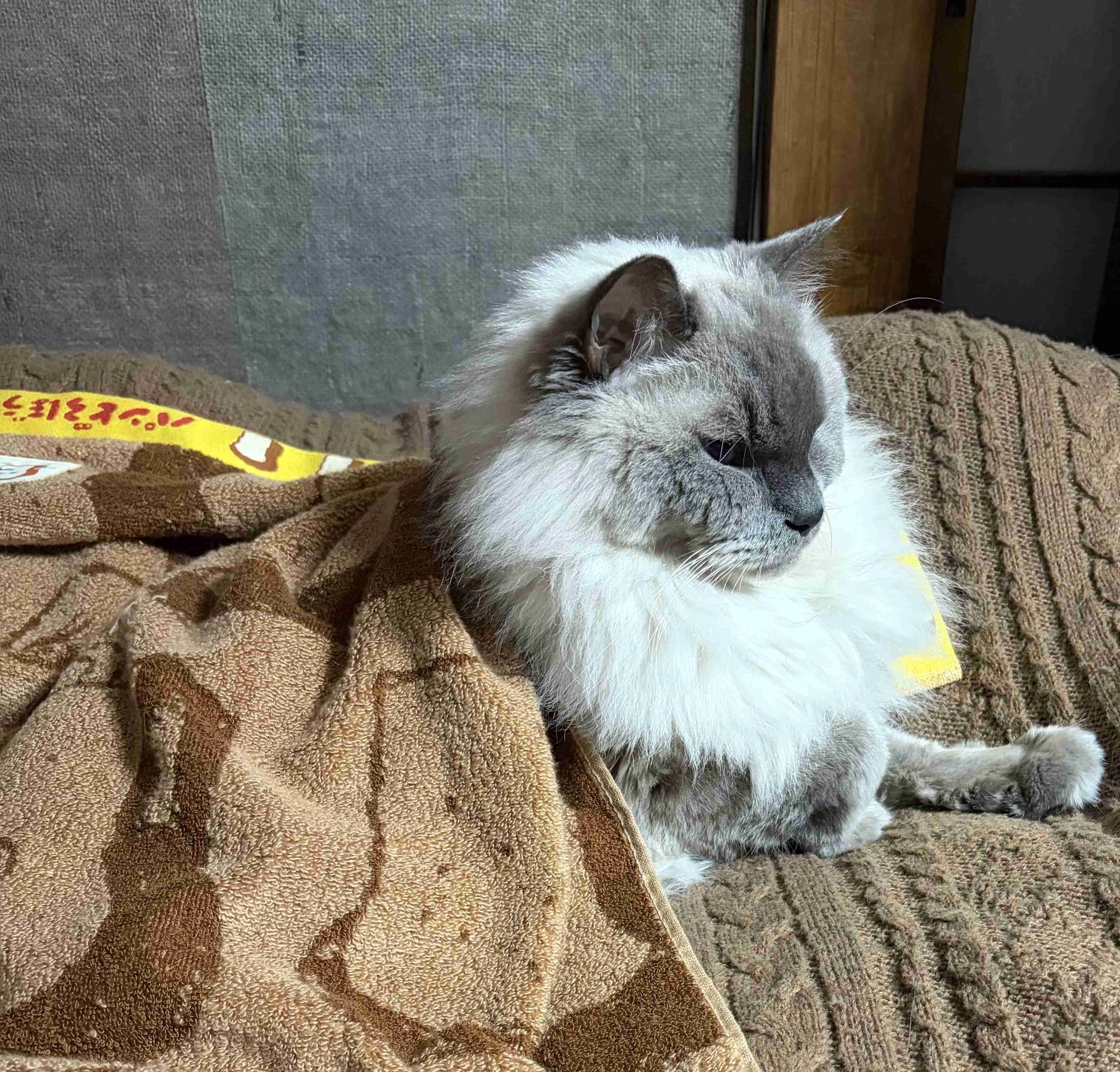 【実況】あなたの側にいる生き物【何してる？】