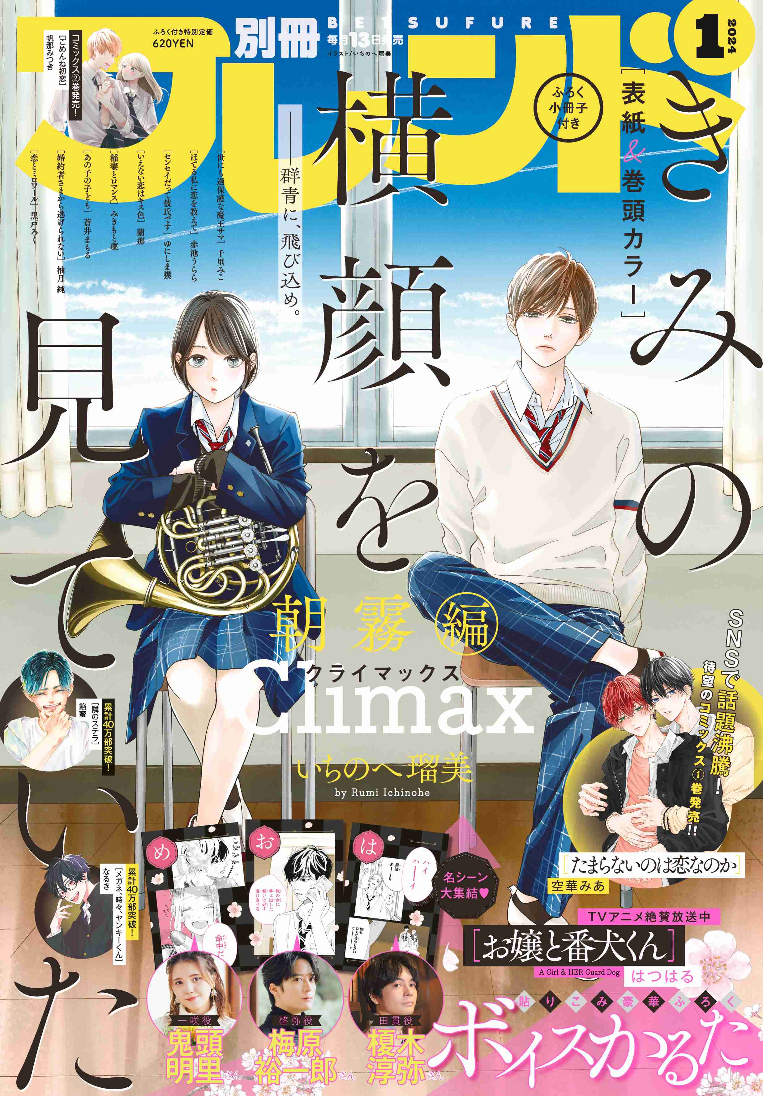 【少女漫画】『きみの横顔を見ていた』を語りたい【ネタバレ注意】Part2