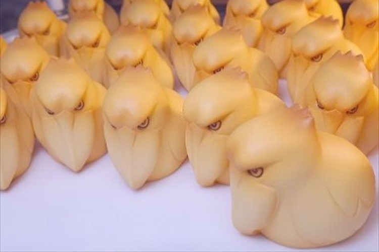 ハシビロコウに対する愛を語れ