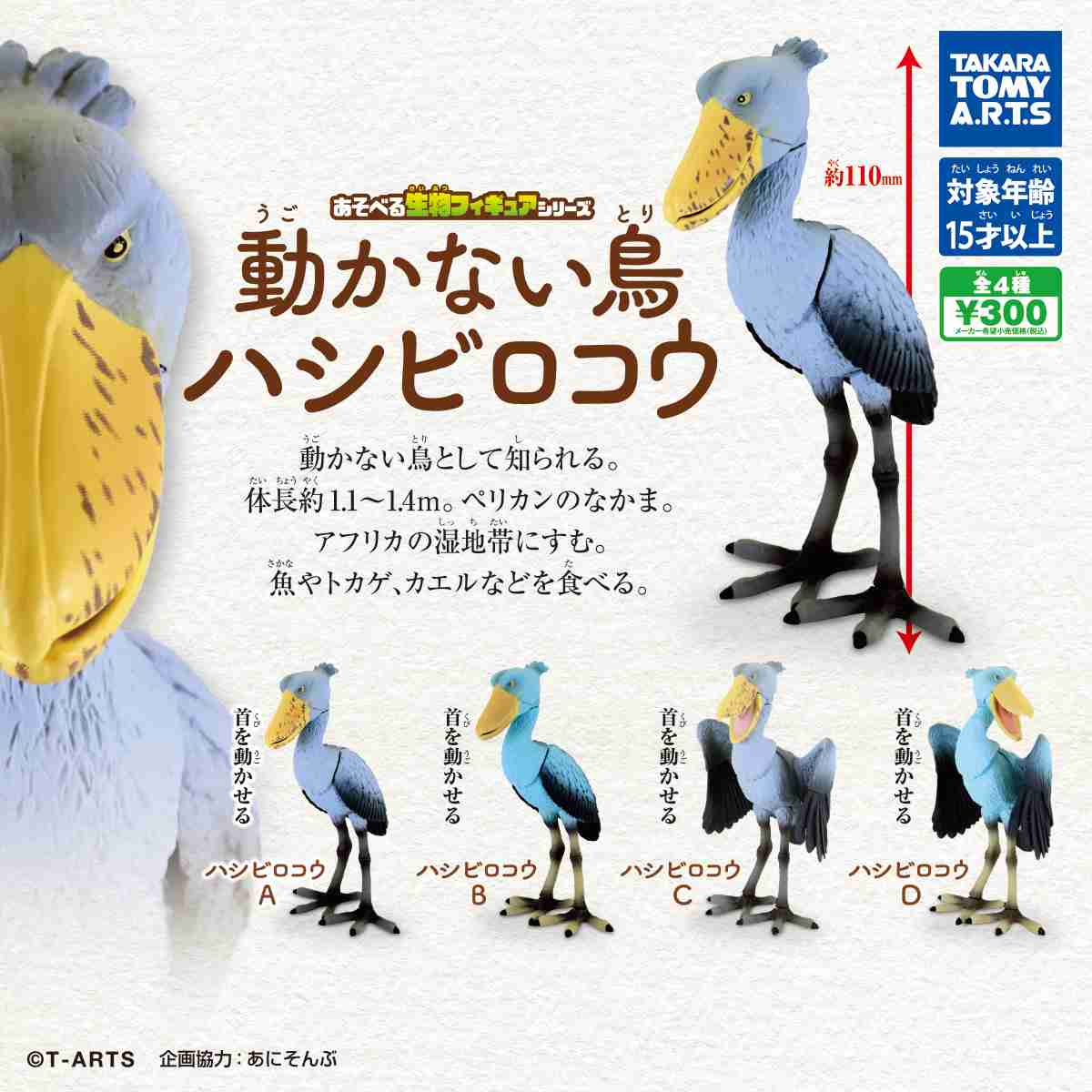 ハシビロコウに対する愛を語れ