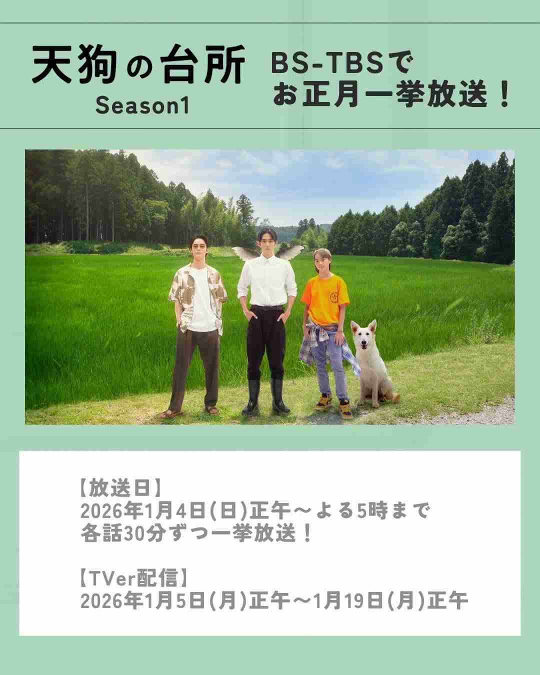 《BLドラマランキングTOP5》放送中の『ぼくたちん家』『パパと親父のウチご飯』や『おっさんずラブ』を抑えた1位は『きのう何食べた?』
