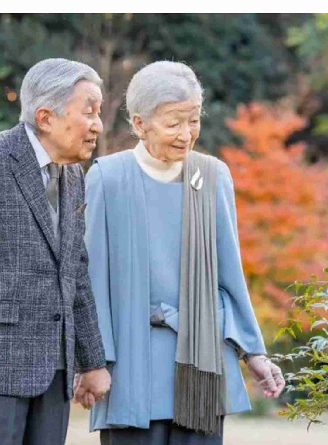 https://up.gc-img.net/post_img/2025/12/xYPEEJmHtXXXvUf_zuxaQ_18723.jpeg