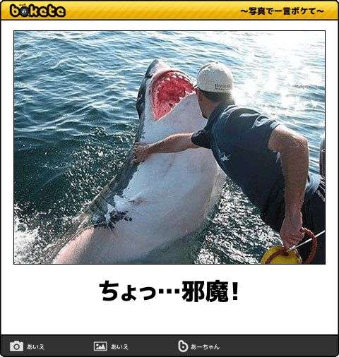 初泳ぎ・寒中水泳を見に行ったことある人