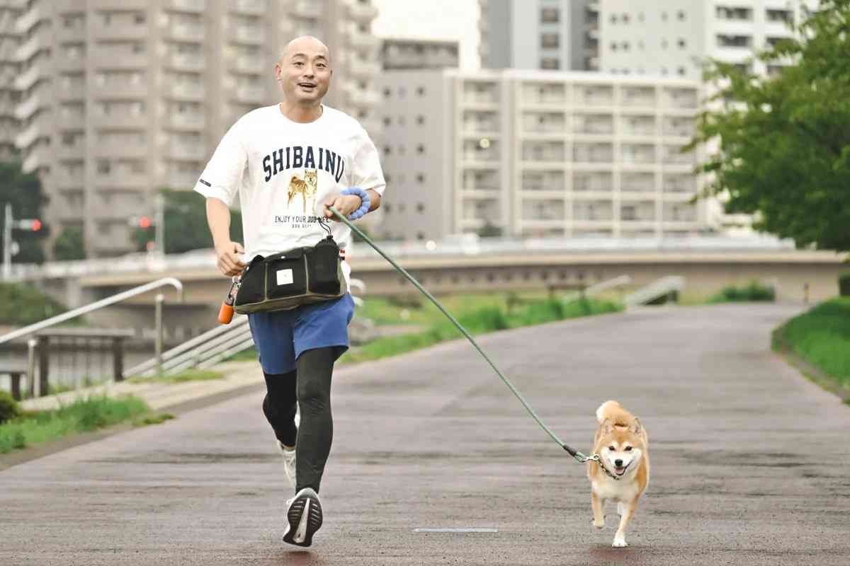 犬飼ってる人は何の仕事をしてる？