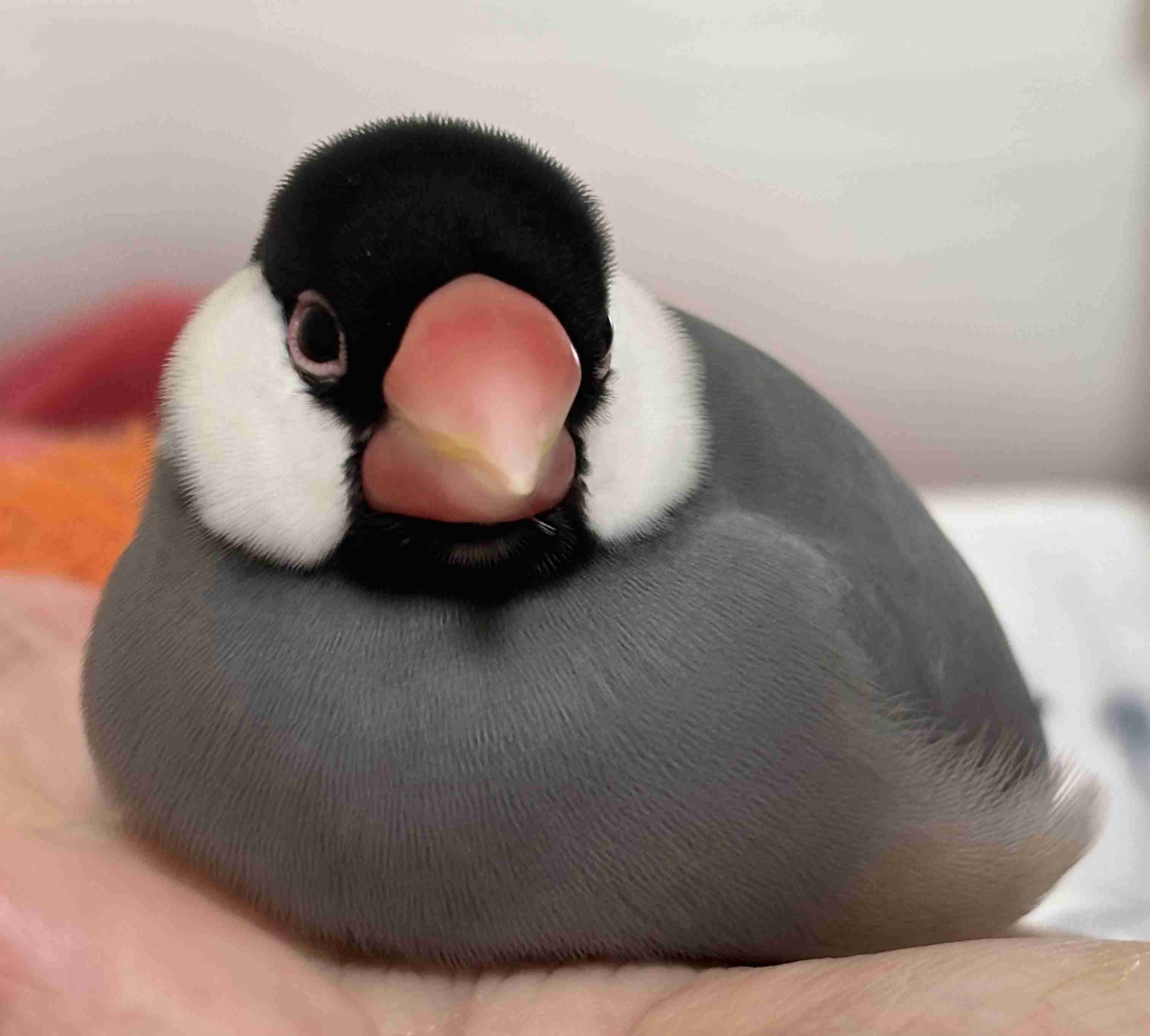 心が穏やかになるとき