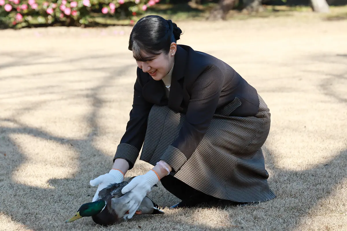 心が穏やかになるとき