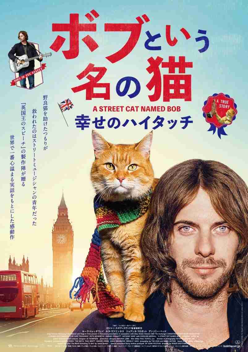 動物好きな人に勧めたい作品