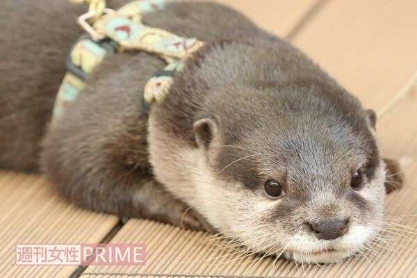 人にかわいそうって言ってくる人の方がかわいそうじゃないですか?