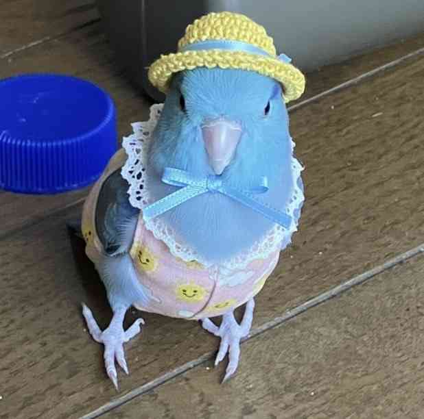 子供の頃保育園・幼稚園の時に持っていたもの