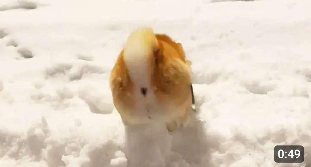 切れ痔!!助けて!!
