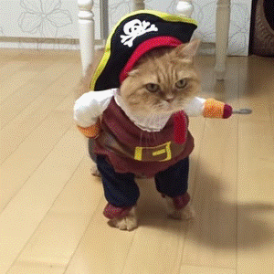 人生で一番つらかった1年間