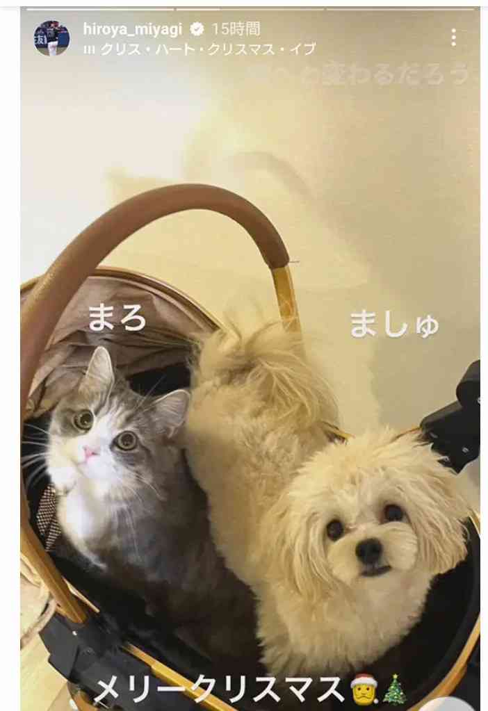 【オリックス】宮城大弥、同郷・沖縄出身の一般女性と結婚「包んでくれるような人」昨年末頃に婚姻届提出