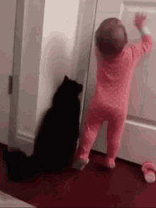 猫は小さい子どもに優しい？ メス猫は母性が強い？ 獣医師が解説