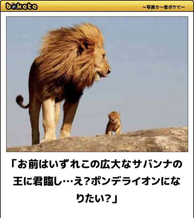 夢があったけれど叶わずに諦めて、今は他の仕事をしている人