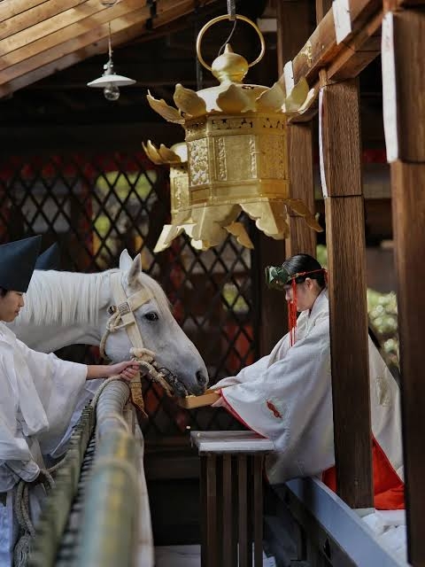 平塚で脱走のポニー、性格は「のんびりマイペース」　名前は「東風」