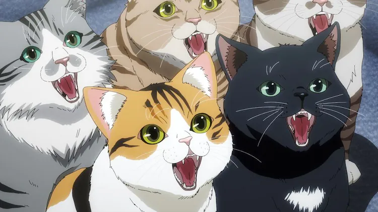猫の好きなところ