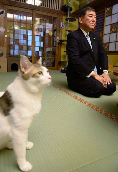 飼い猫自慢大会