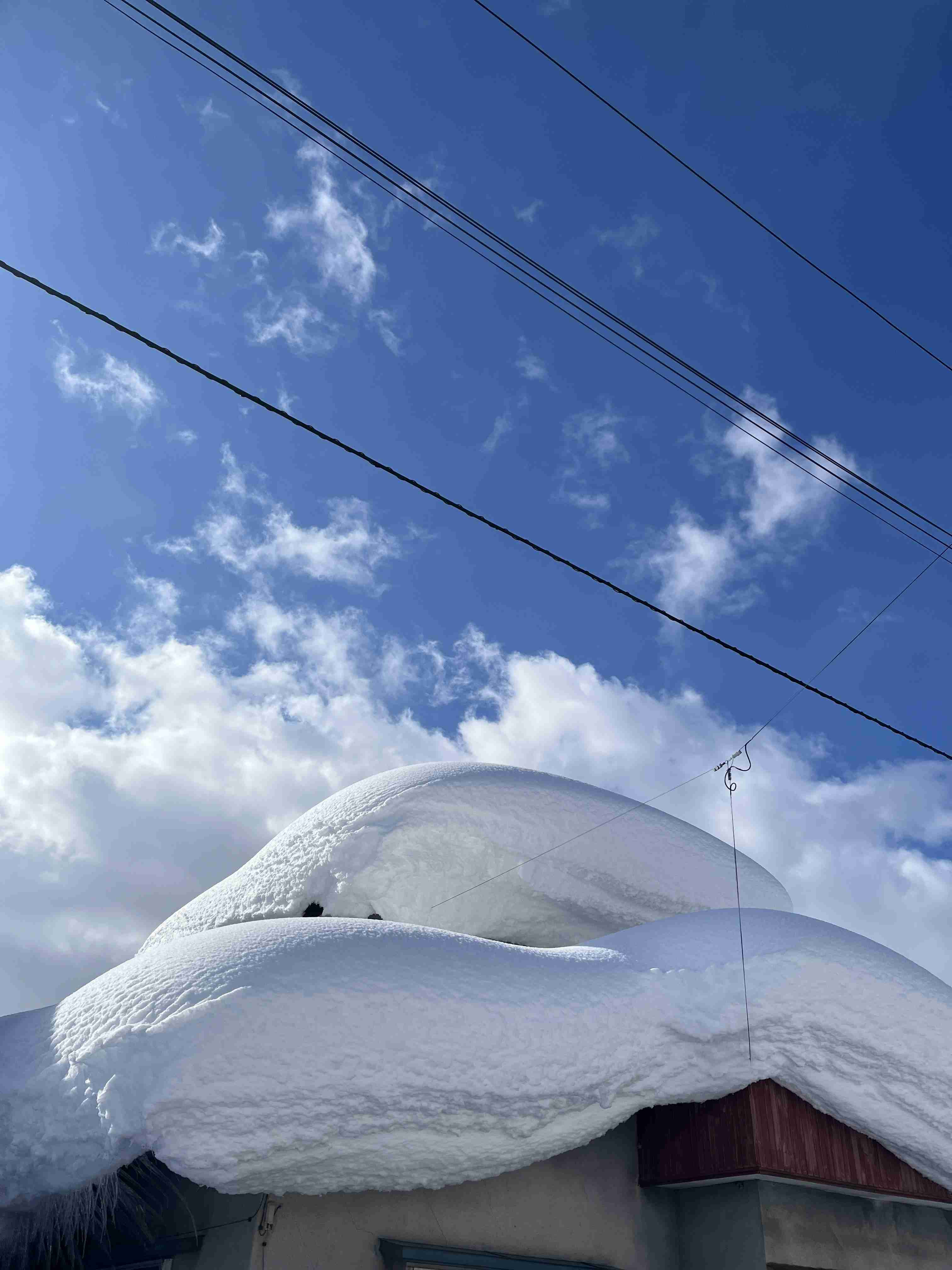 「もう異常です…」屋根雪落下で高齢夫婦が一時閉じ込めも　一時積雪167センチの青森市は除雪追いつかず生活が混乱