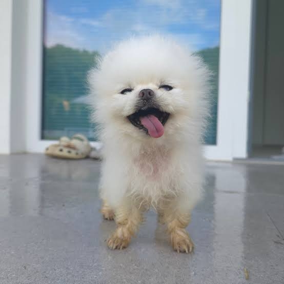 😇忙しい日々でも穏やかな時間がほしい🌀