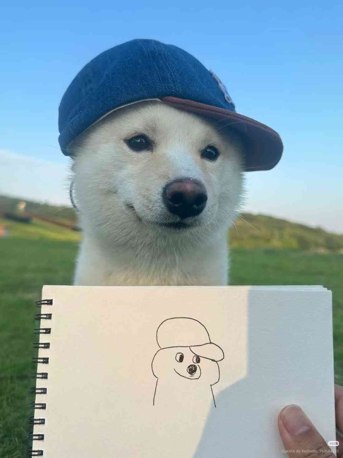 絵が下手です