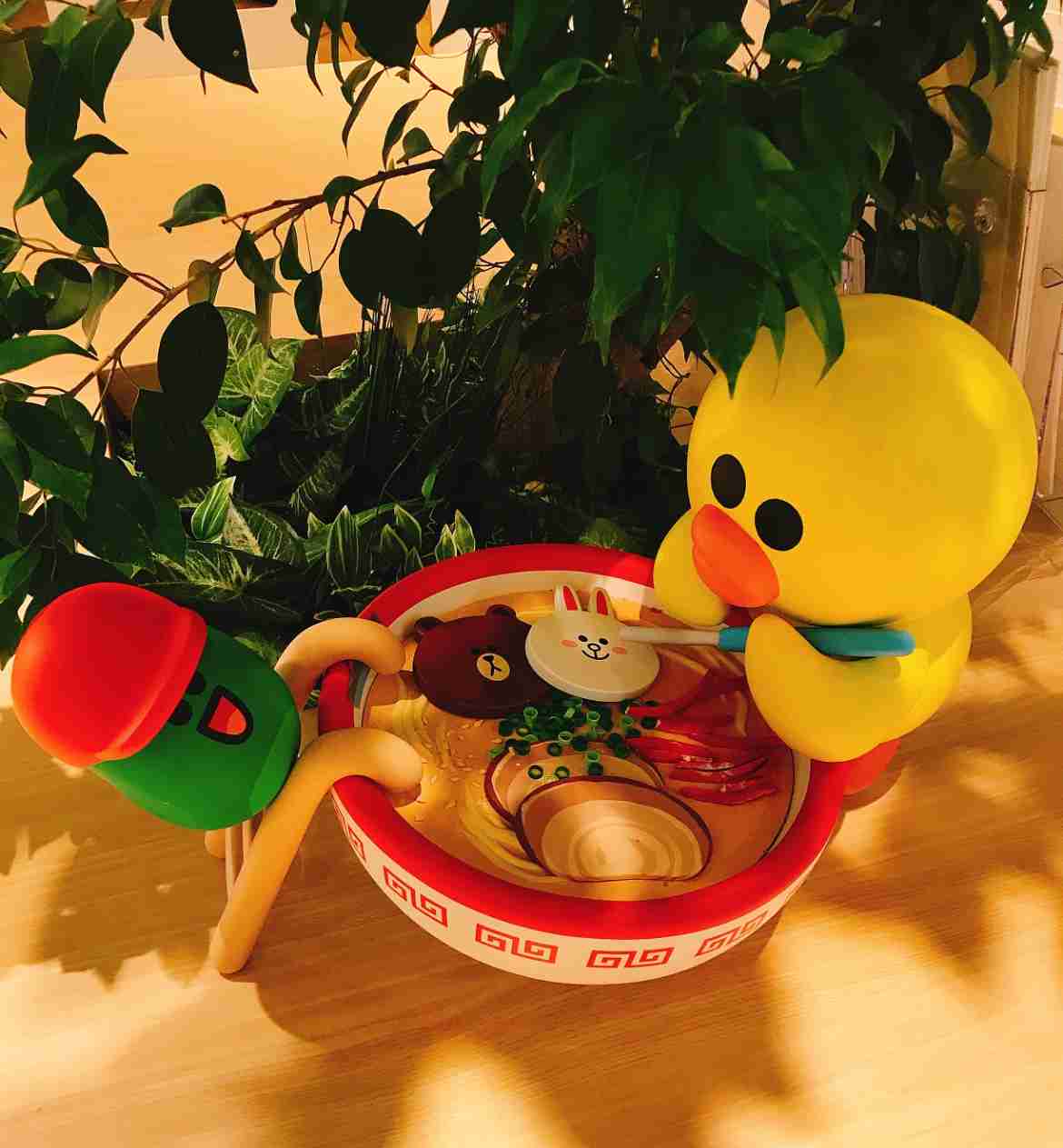 九州の人に聞きたい事〜