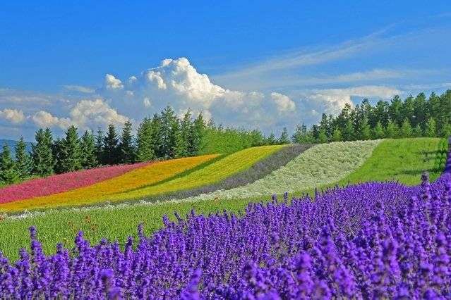 北海道のベストシーズンを教えて欲しいです。