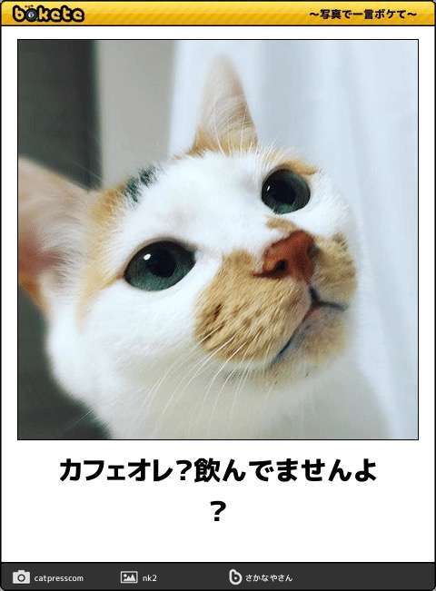 何言ってんだこいつ？と思った事