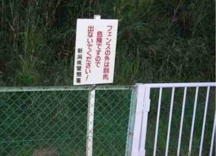 【イラついてますわ】長野県で目撃された「看板」が話題　「ブチキレているような文言」に思わず目を疑う