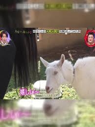 A型は美川憲一、B型はマツコ、O型は武田鉄矢、AB型はIKKO言葉で話すトピ Part14