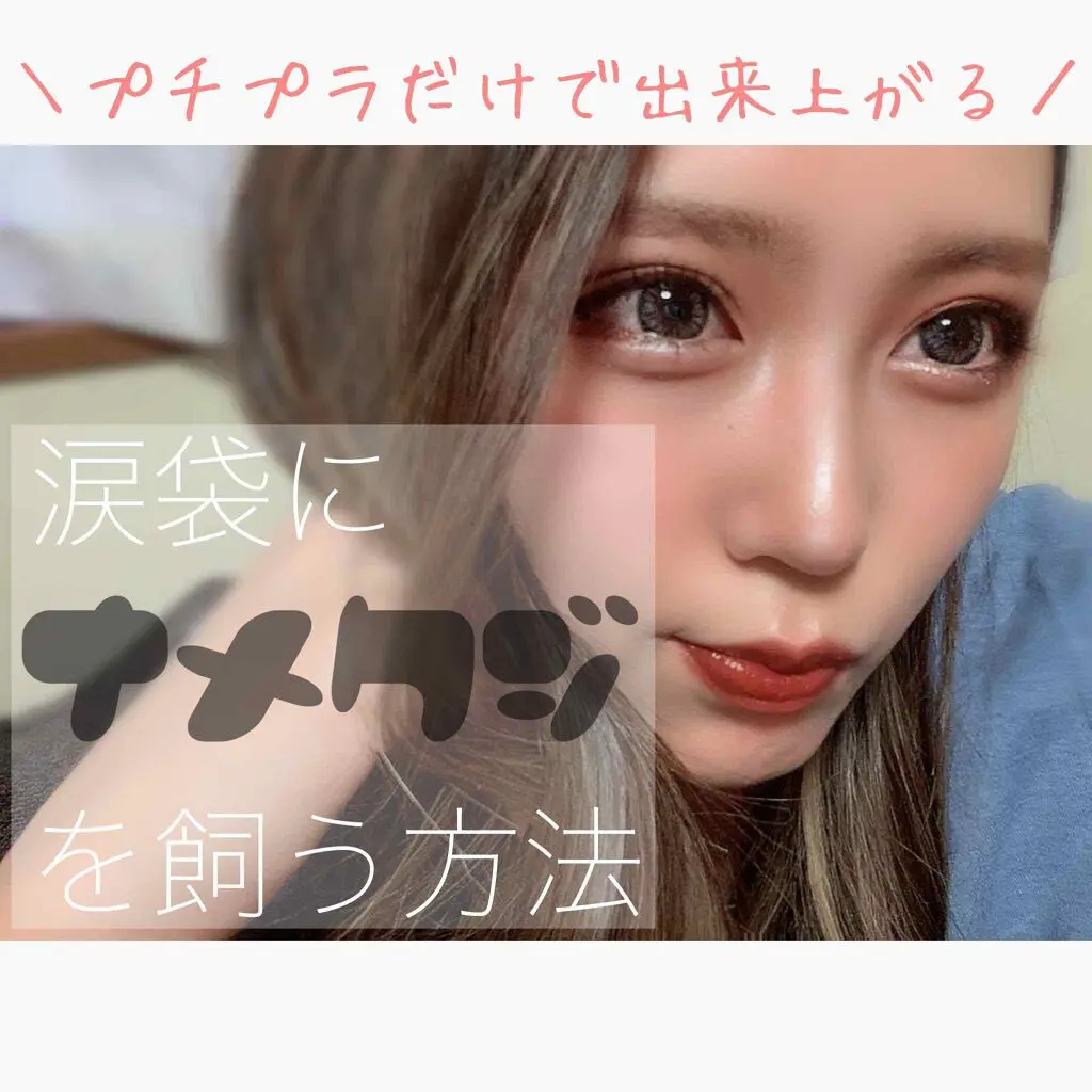 ネット民に揶揄されてるものを所有する人