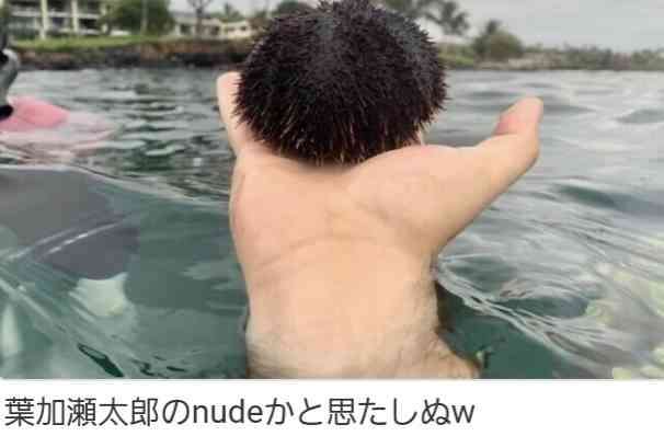 【誤字】スーパーのポップ・チラシ