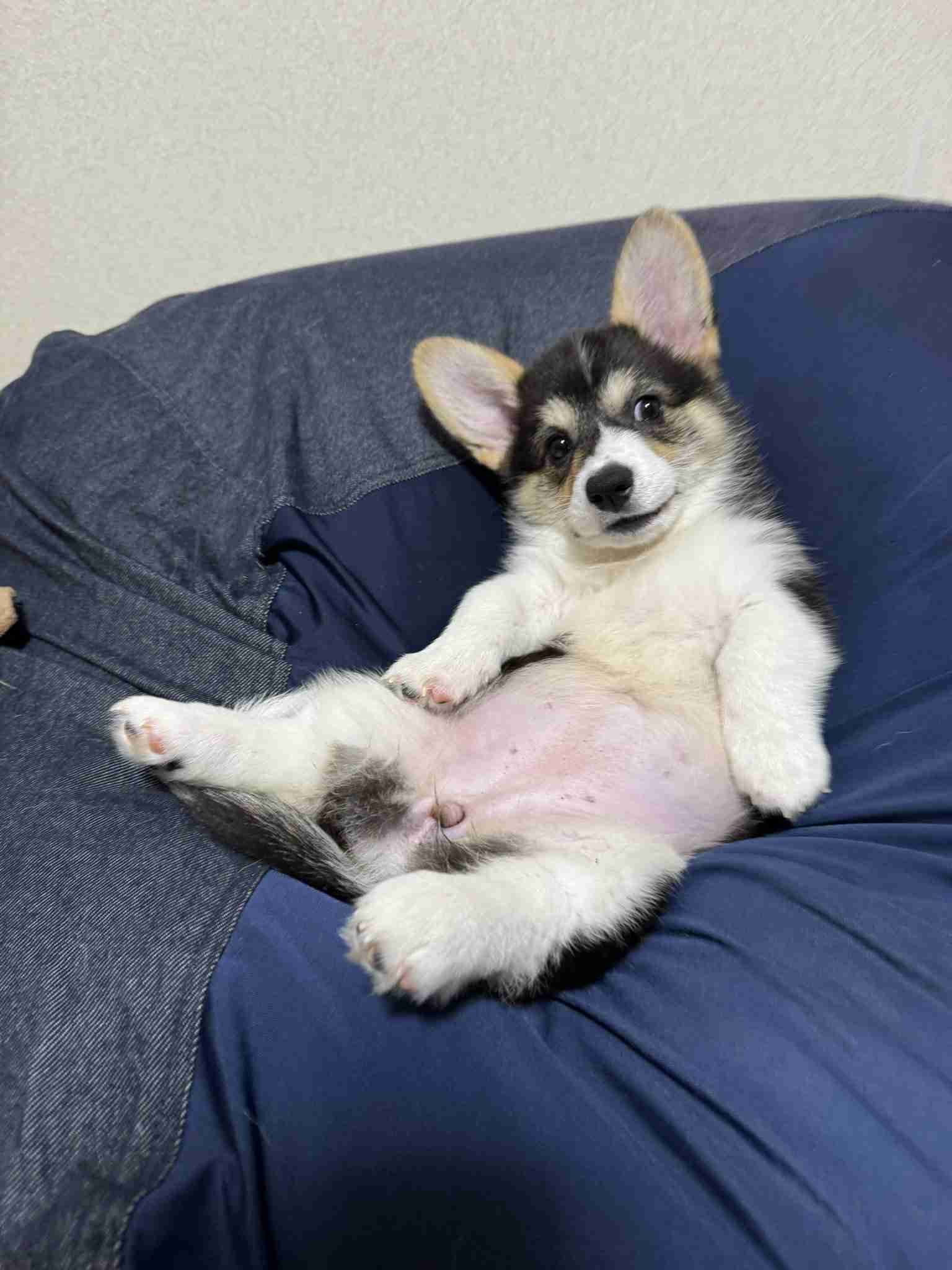 社会不適合者、集合〜！【part9】