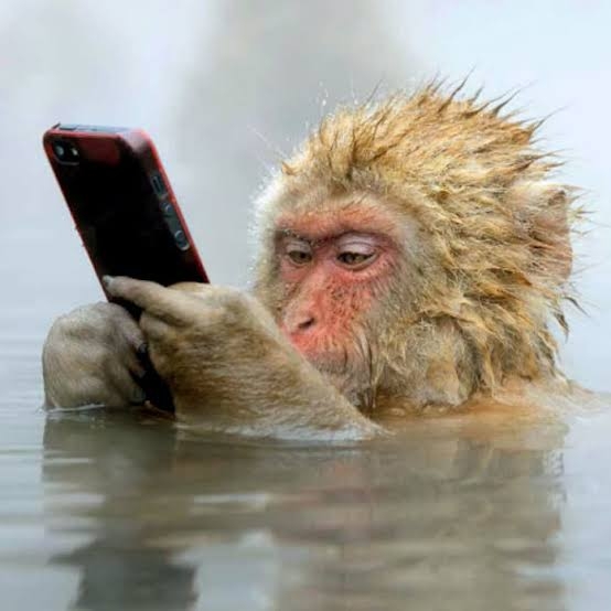 1ヶ月未読無視された後にきたメッセージ返信しますか？