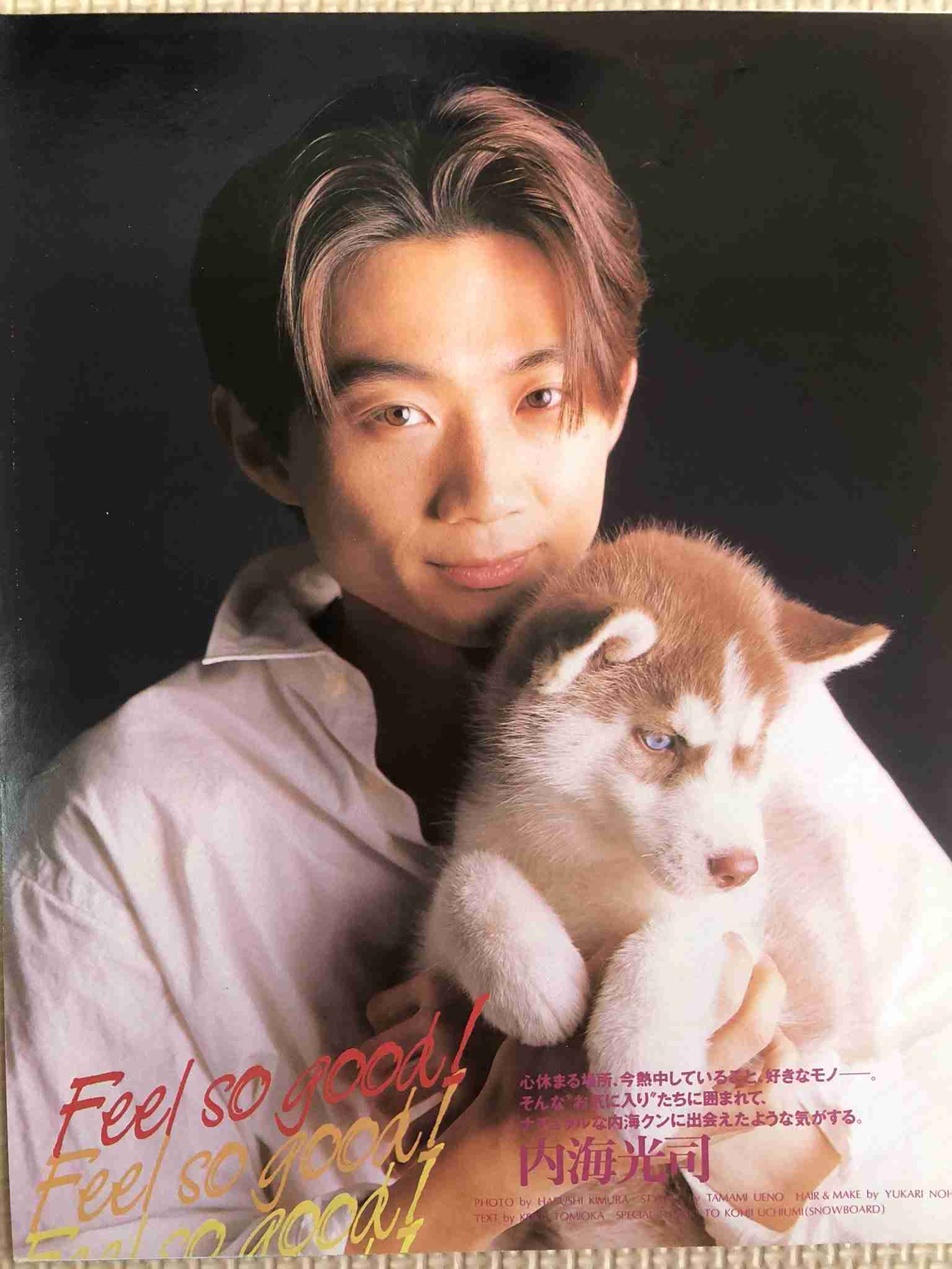 ノースキャンダルな芸能人